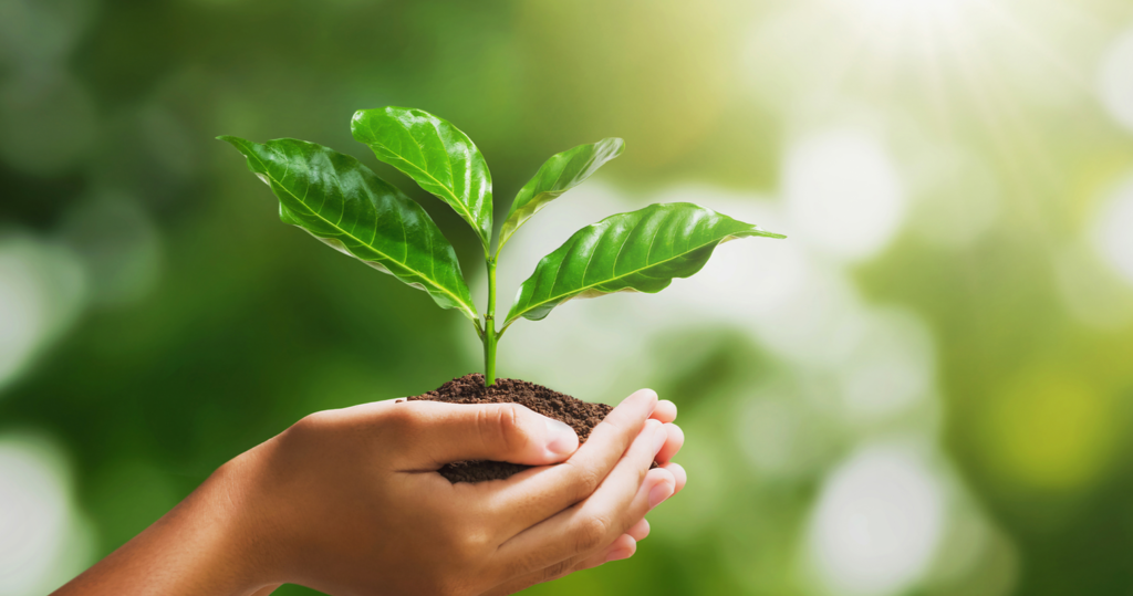 Breakout®, the Only Eco-Friendly Escape Room