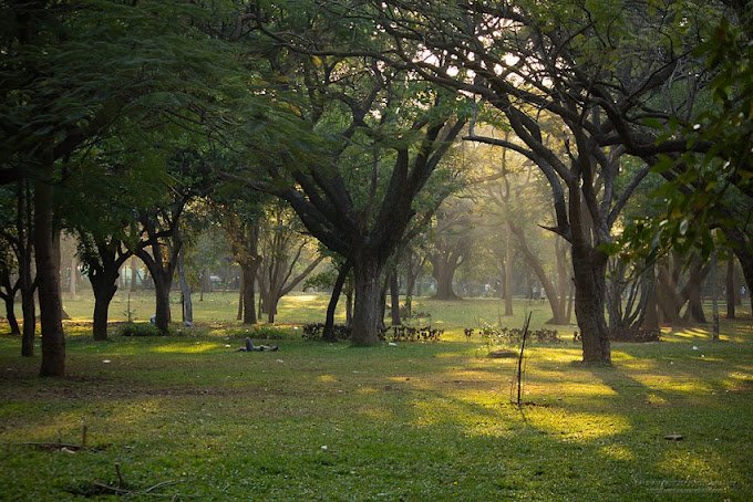 Cubbon Park