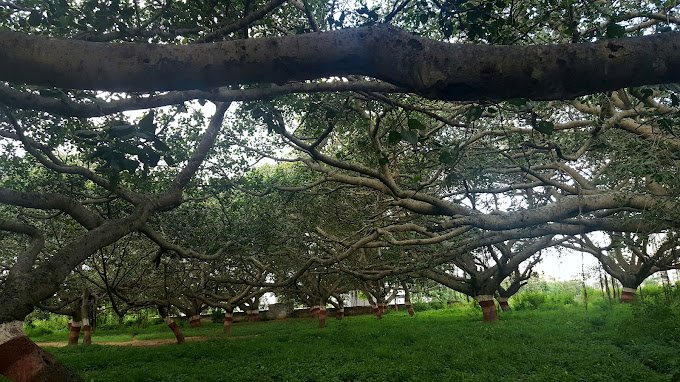 Nallurhalli Park